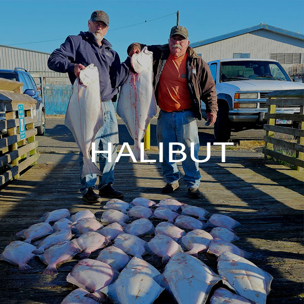 Hook into a Halibut of a Lifetime!